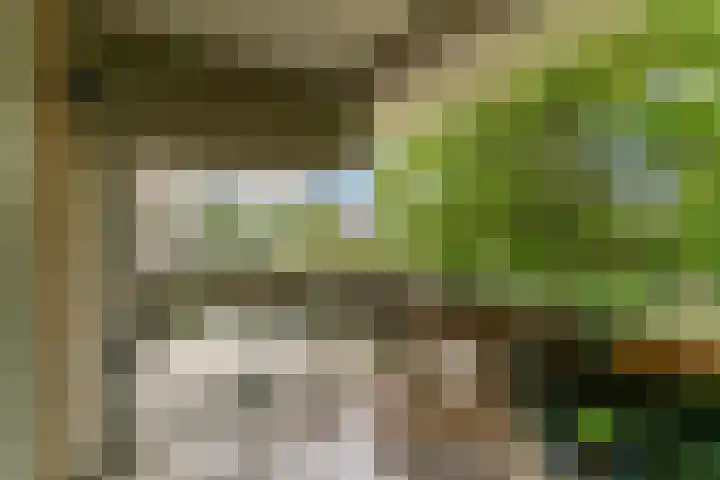 Runmoolen 7 Amstelveen thumbnail 28
