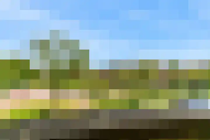 Runmoolen 7 Amstelveen thumbnail 29
