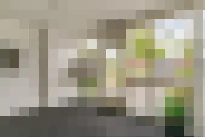 Runmoolen 7 Amstelveen thumbnail 32
