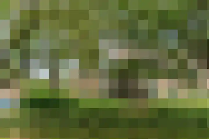 Runmoolen 7 Amstelveen thumbnail 35