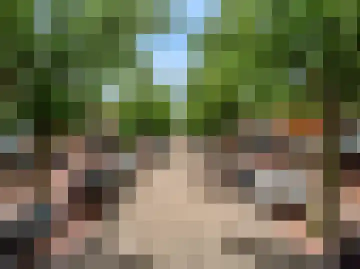 Runmoolen 7 Amstelveen thumbnail 43