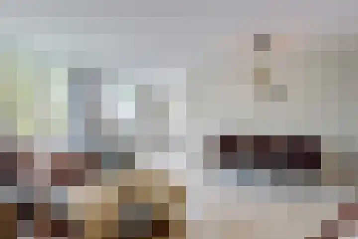 Runmoolen 7 Amstelveen thumbnail 5
