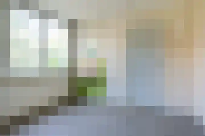Runnebeek 2 De Bilt thumbnail 18