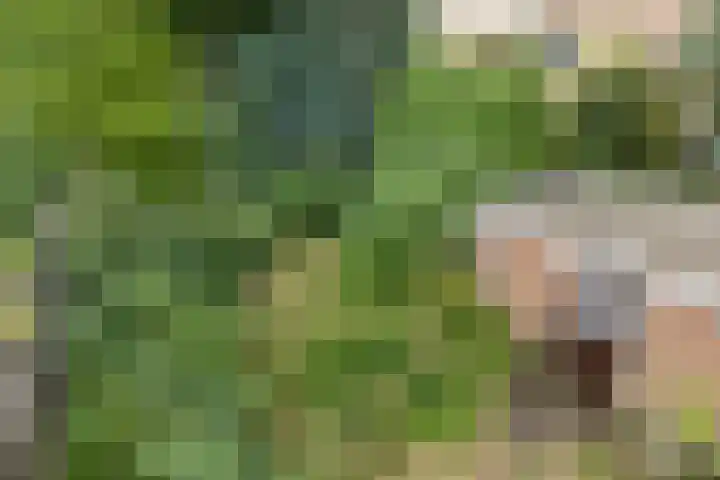 Runnebeek 2 De Bilt thumbnail 25