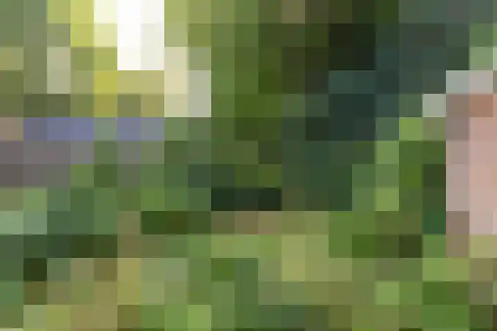 Runnebeek 2 De Bilt thumbnail 27