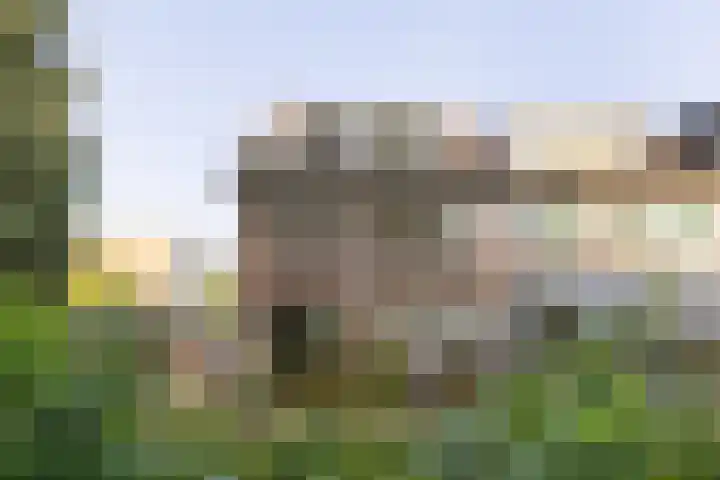 Runnebeek 2 De Bilt thumbnail 28