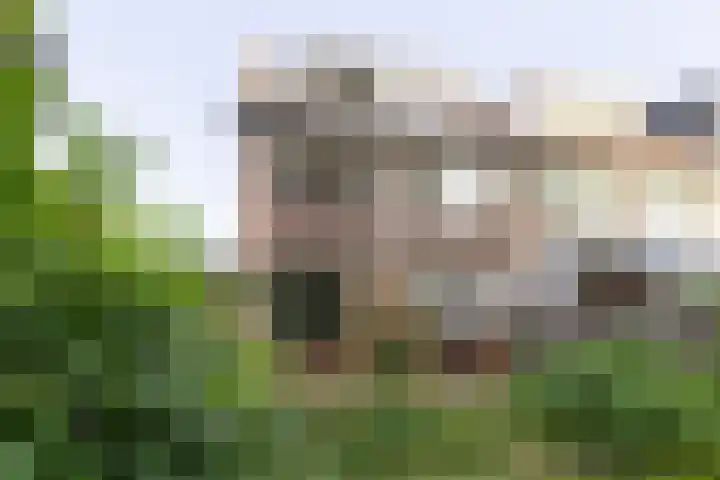 Runnebeek 2 De Bilt thumbnail 29