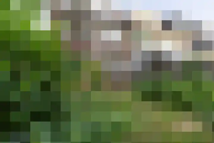 Runnebeek 2 De Bilt thumbnail 30