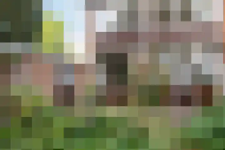 Runnebeek 2 De Bilt thumbnail 31
