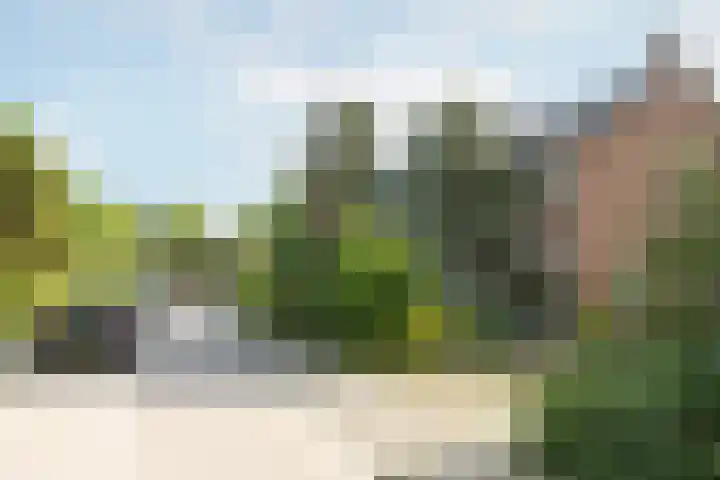 Runnebeek 2 De Bilt thumbnail 33