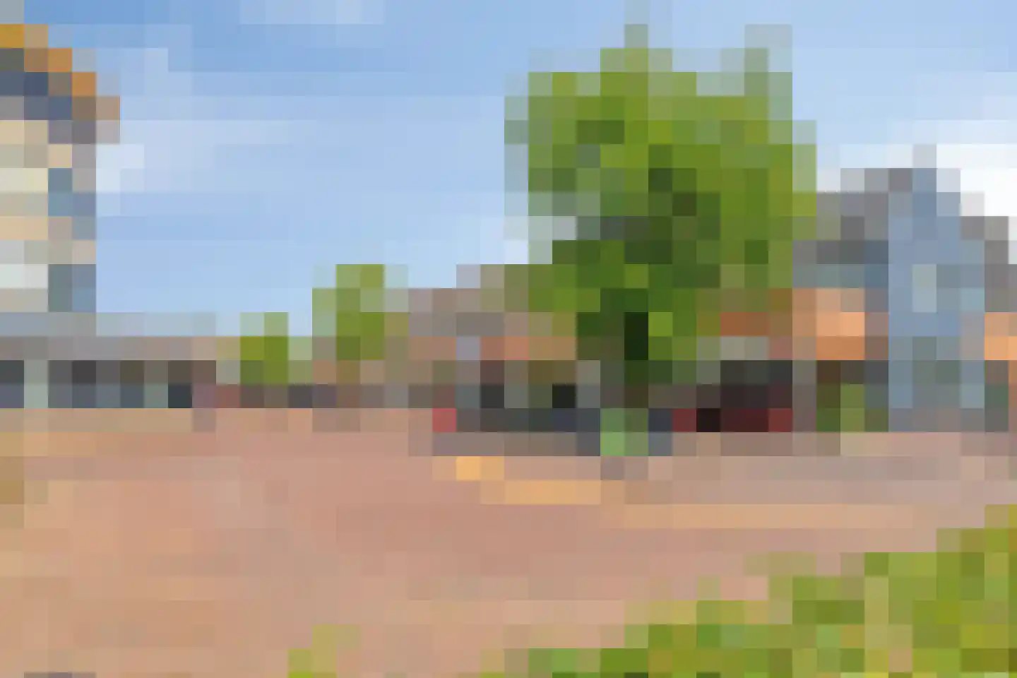 Runneboom 67 Warnsveld thumbnail 21