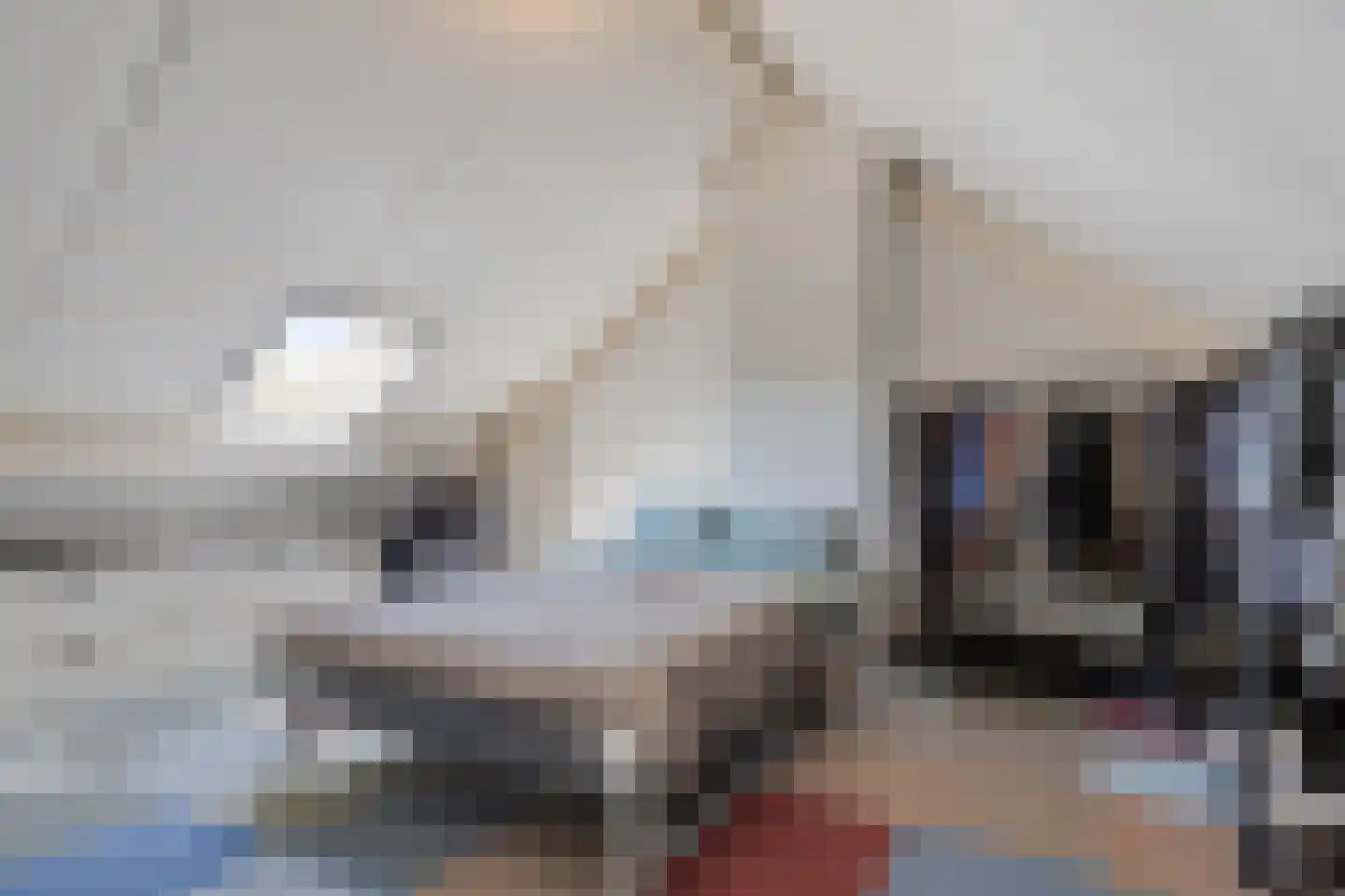 Runrotstraat 25 B Geffen thumbnail 22