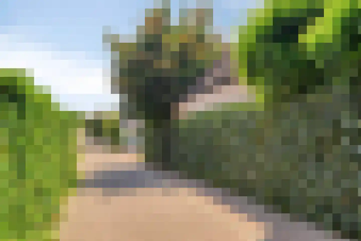 Runrotstraat 25 B Geffen thumbnail 34