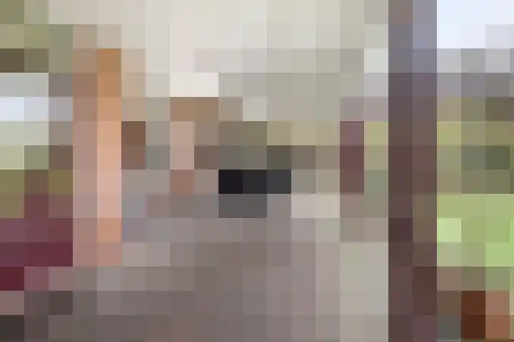 Runrotstraat 5 Geffen thumbnail 10