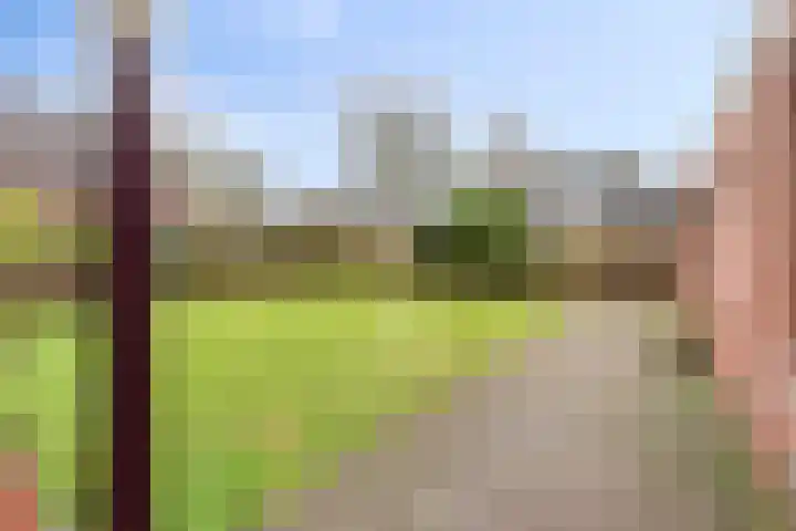 Runrotstraat 5 Geffen thumbnail 12