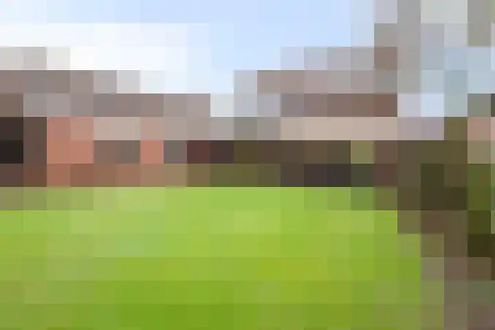 Runrotstraat 5 Geffen thumbnail 13