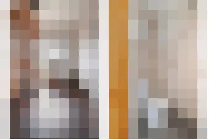 Runrotstraat 5 Geffen thumbnail 16