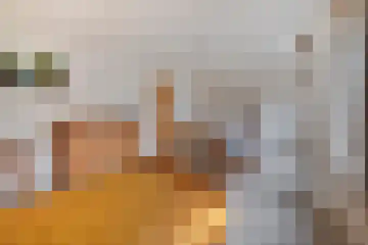 Runrotstraat 5 Geffen thumbnail 18