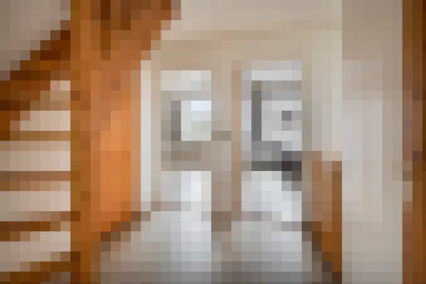 Runrotstraat 5 Geffen thumbnail 23