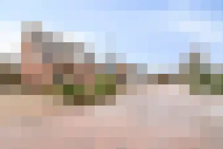 Runrotstraat 5 Geffen thumbnail 28