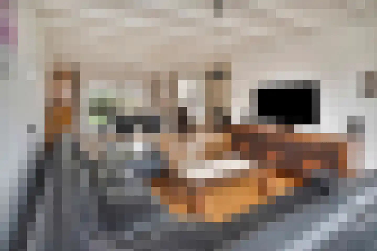 Runrotstraat 5 Geffen thumbnail 5