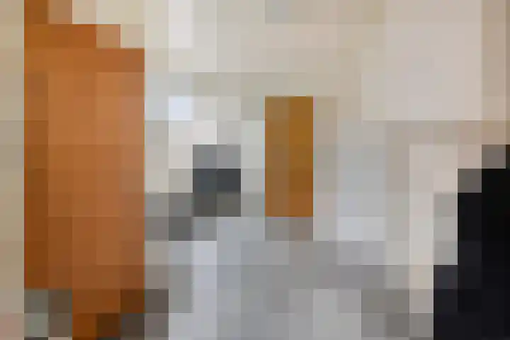 Runrotstraat 5 Geffen thumbnail 9
