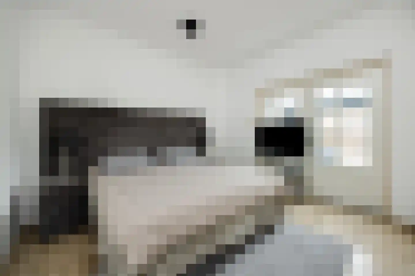 Runsdijk 18 Esch thumbnail 19
