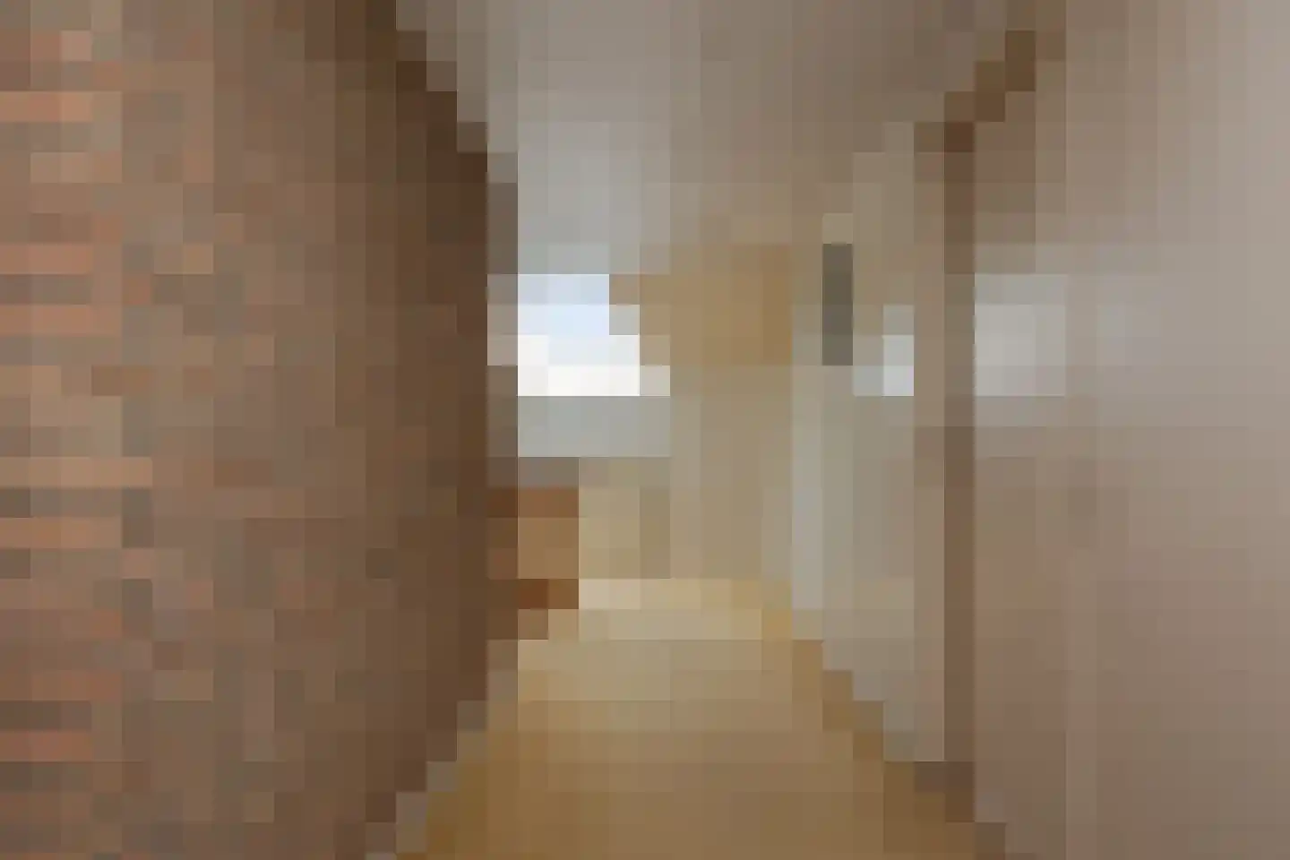 Runsdijk 18 Esch thumbnail 35