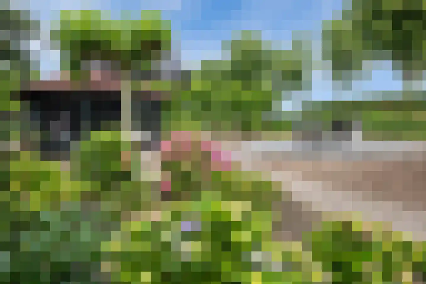 Runsdijk 18 Esch thumbnail 45