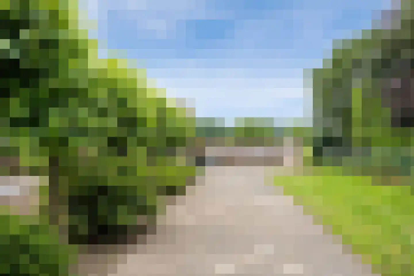 Runsdijk 18 Esch thumbnail 49