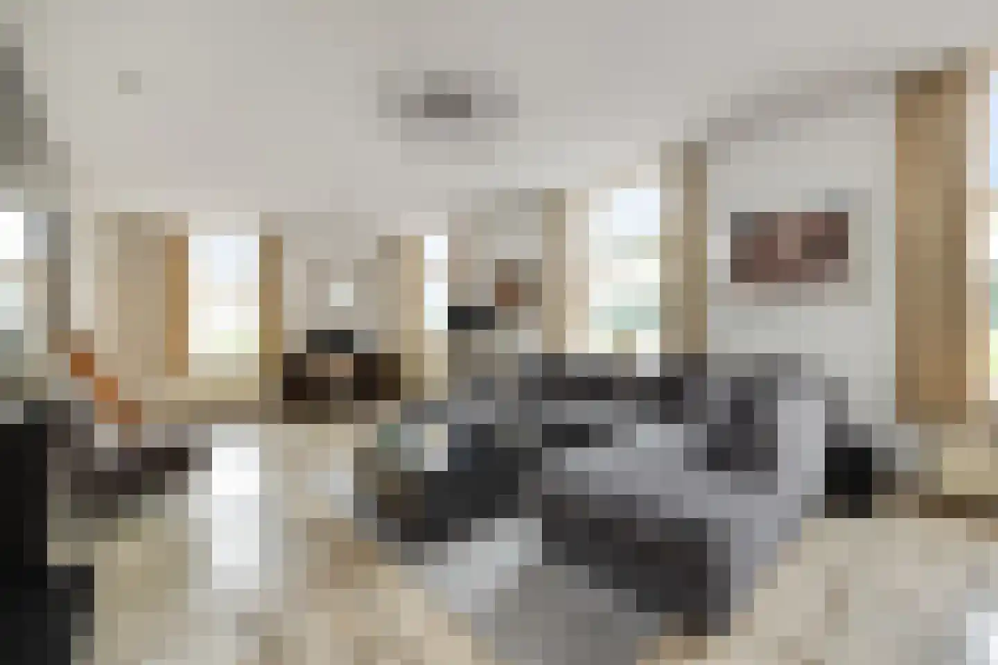 Runsdijk 18 Esch thumbnail 6