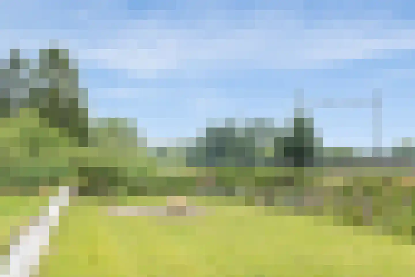 Runsdijk 18 Esch thumbnail 62