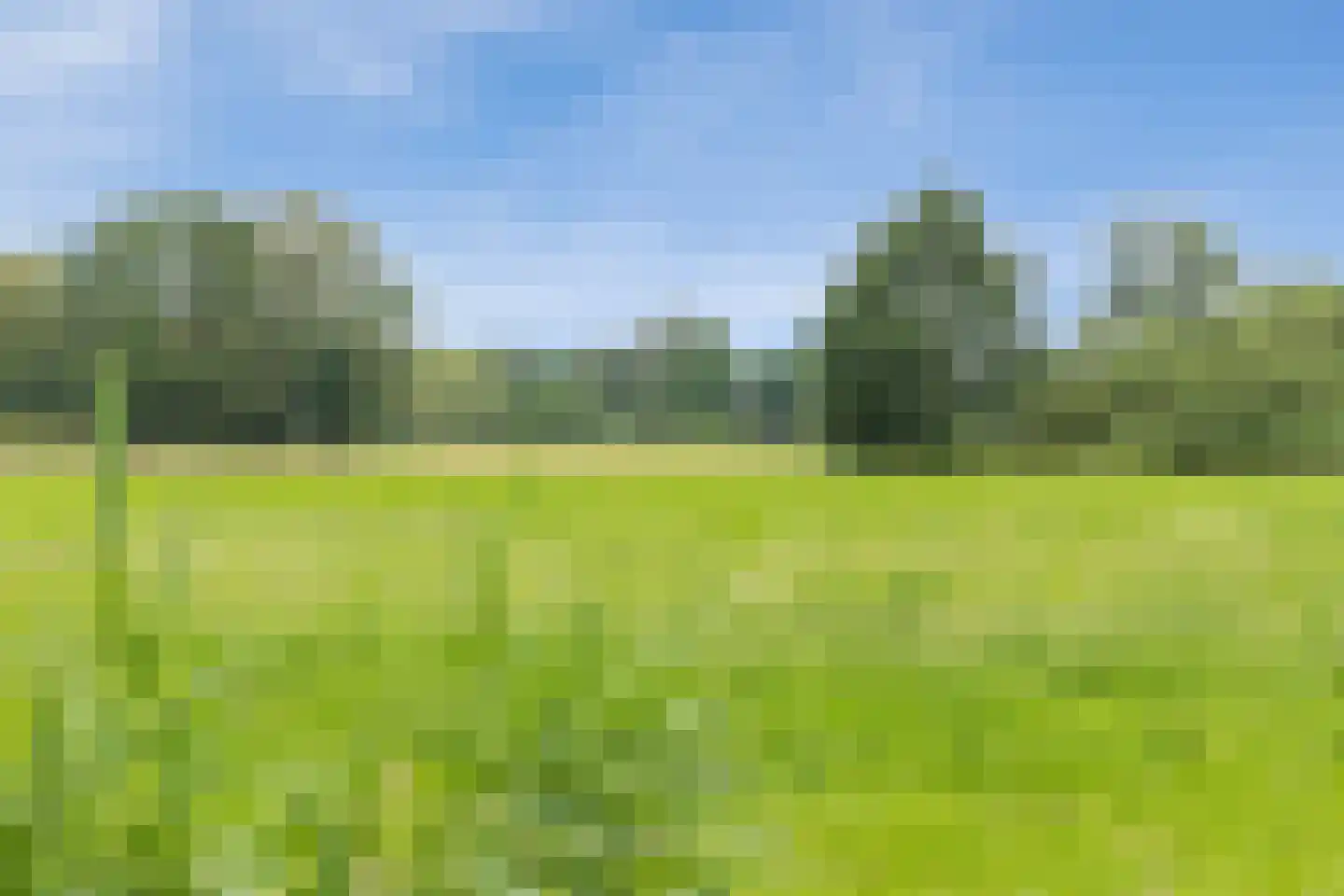 Runsdijk 18 Esch thumbnail 63