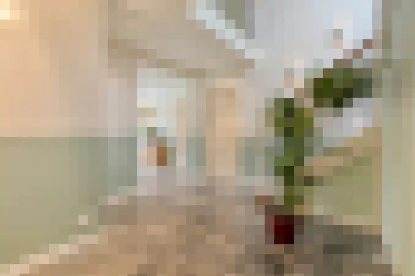 Runselstraat 10 Berghem thumbnail 10