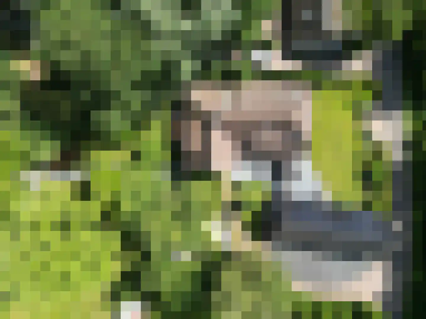 Runselstraat 10 Berghem thumbnail 103