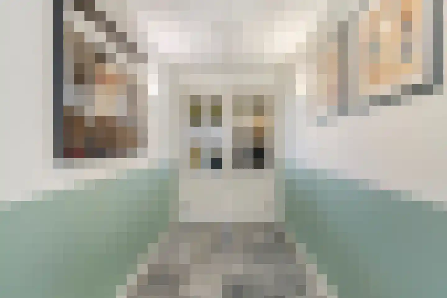 Runselstraat 10 Berghem thumbnail 12
