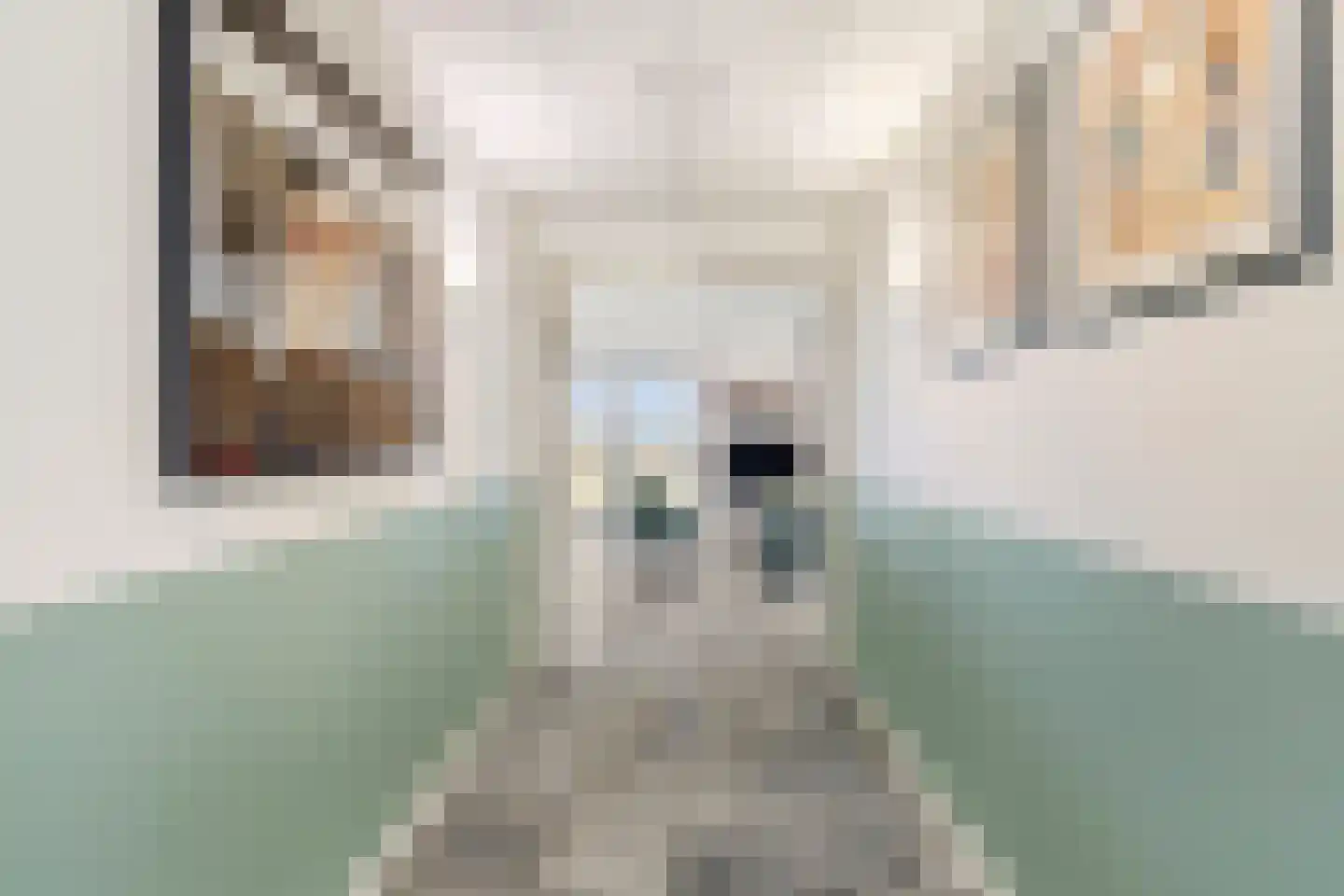 Runselstraat 10 Berghem thumbnail 13