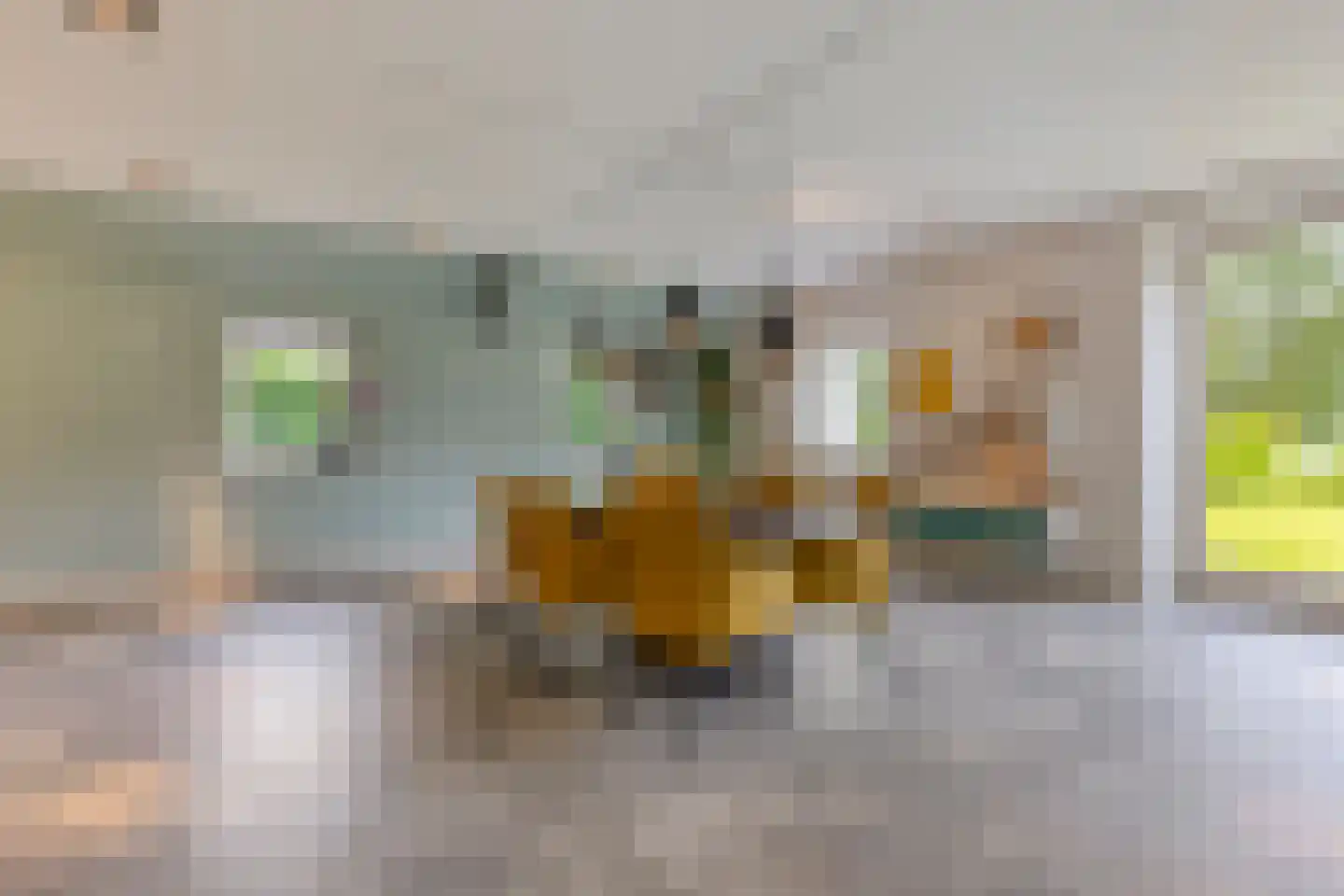 Runselstraat 10 Berghem thumbnail 16