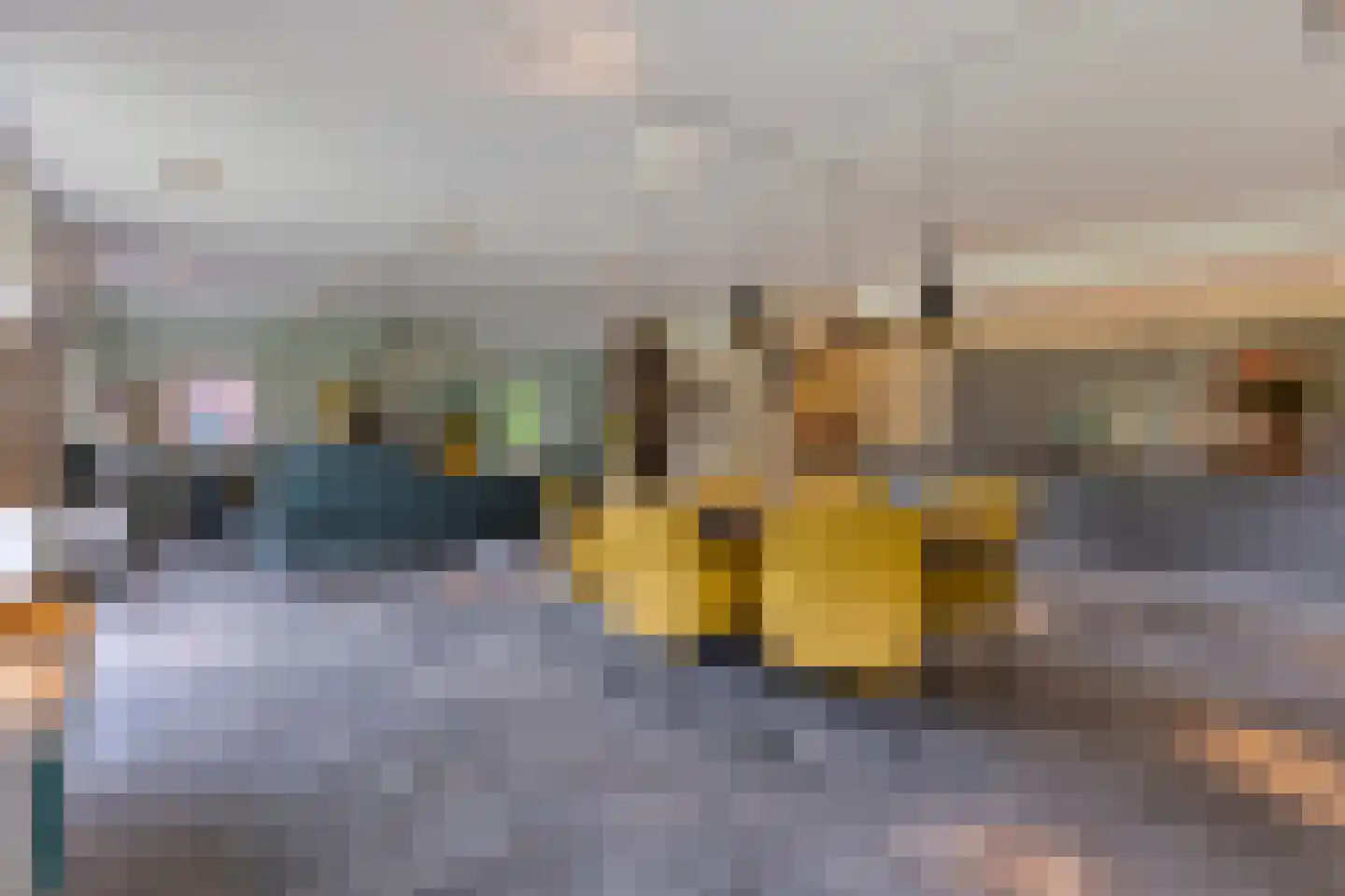 Runselstraat 10 Berghem thumbnail 18