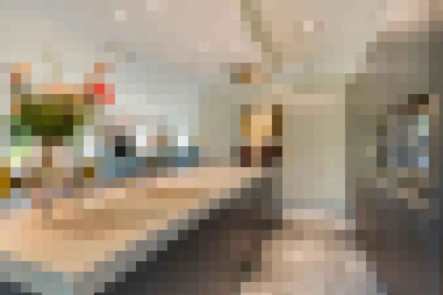 Runselstraat 10 Berghem thumbnail 21