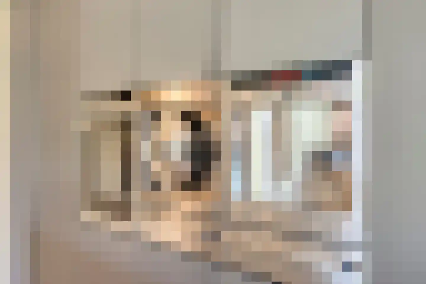 Runselstraat 10 Berghem thumbnail 25