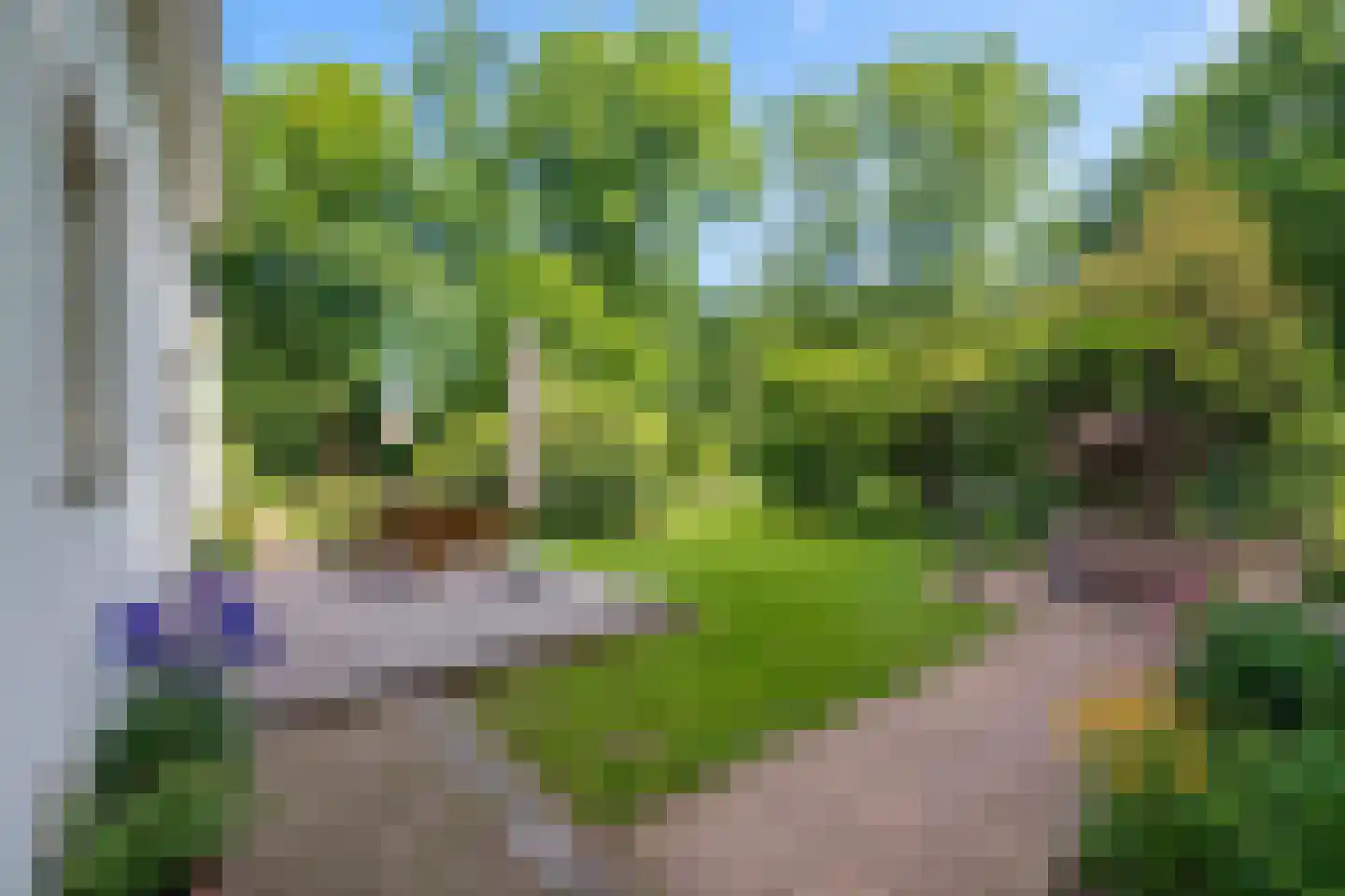 Runselstraat 10 Berghem thumbnail 27