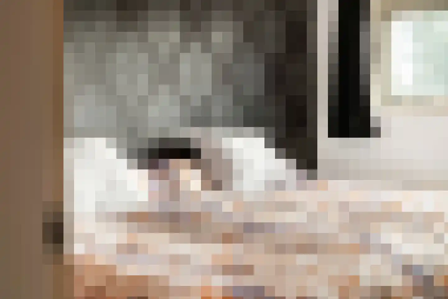 Runselstraat 10 Berghem thumbnail 27