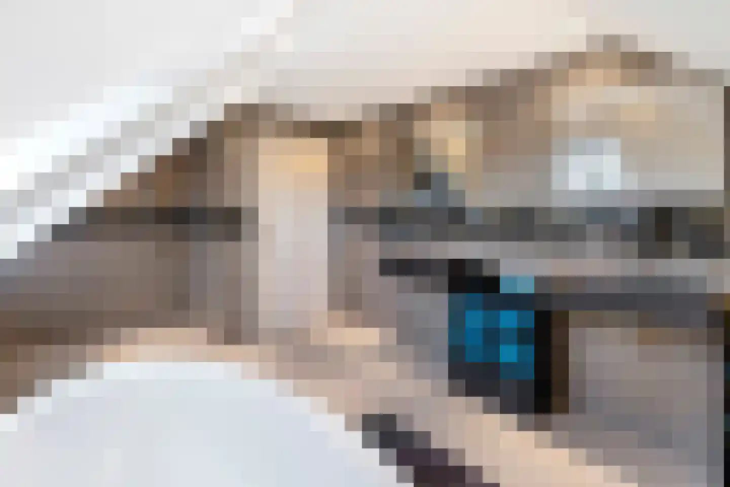 Runselstraat 10 Berghem thumbnail 28