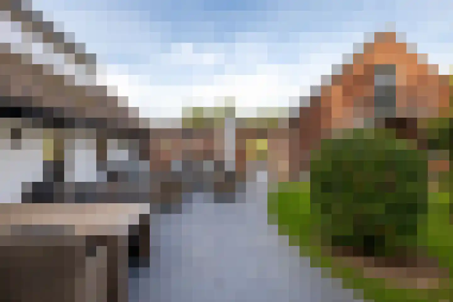Runselstraat 10 Berghem thumbnail 30