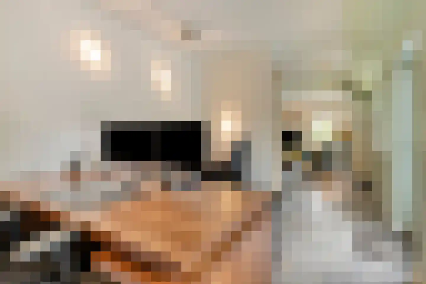 Runselstraat 10 Berghem thumbnail 31