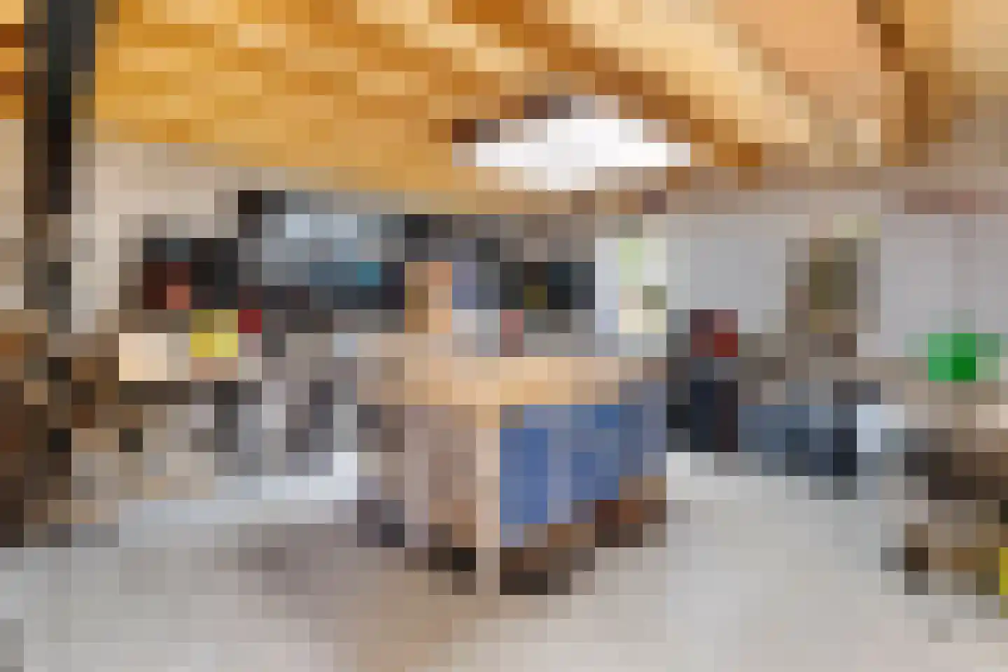Runselstraat 10 Berghem thumbnail 32