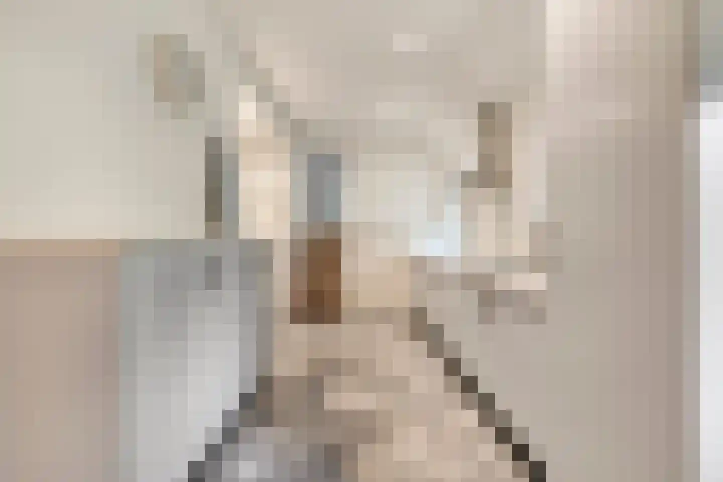 Runselstraat 10 Berghem thumbnail 33