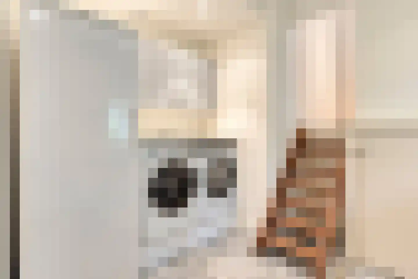 Runselstraat 10 Berghem thumbnail 36