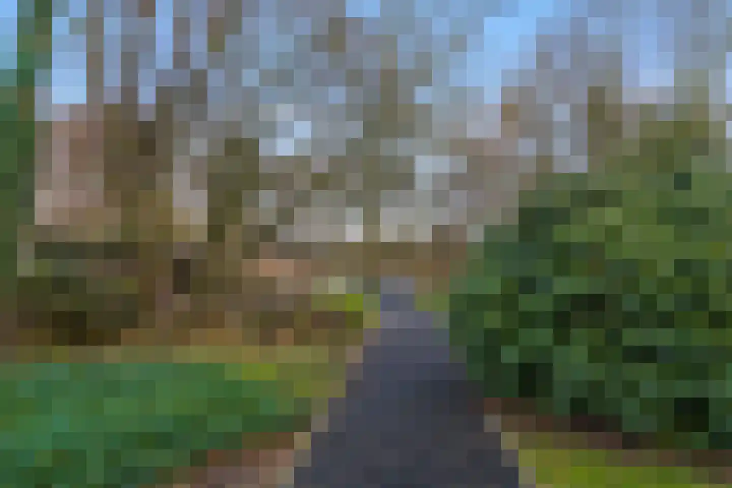 Runselstraat 10 Berghem thumbnail 36